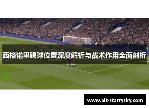 西格诺里踢球位置深度解析与战术作用全面剖析